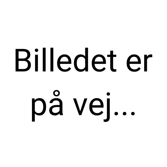 Miniaturebillede 1
